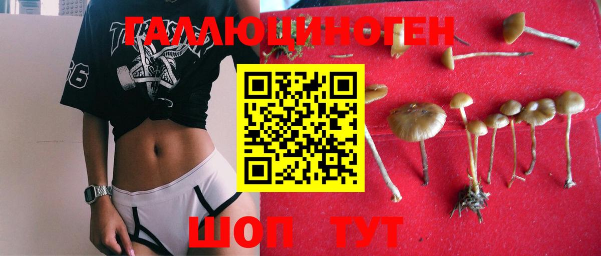 Гашиш  Комсомольск-на-Амуре  Cocaine  LSD-25  Мефедрон   Сколько стоит  Каннабис  A PVP СК   Метамфетамин  Вход с VPN 
