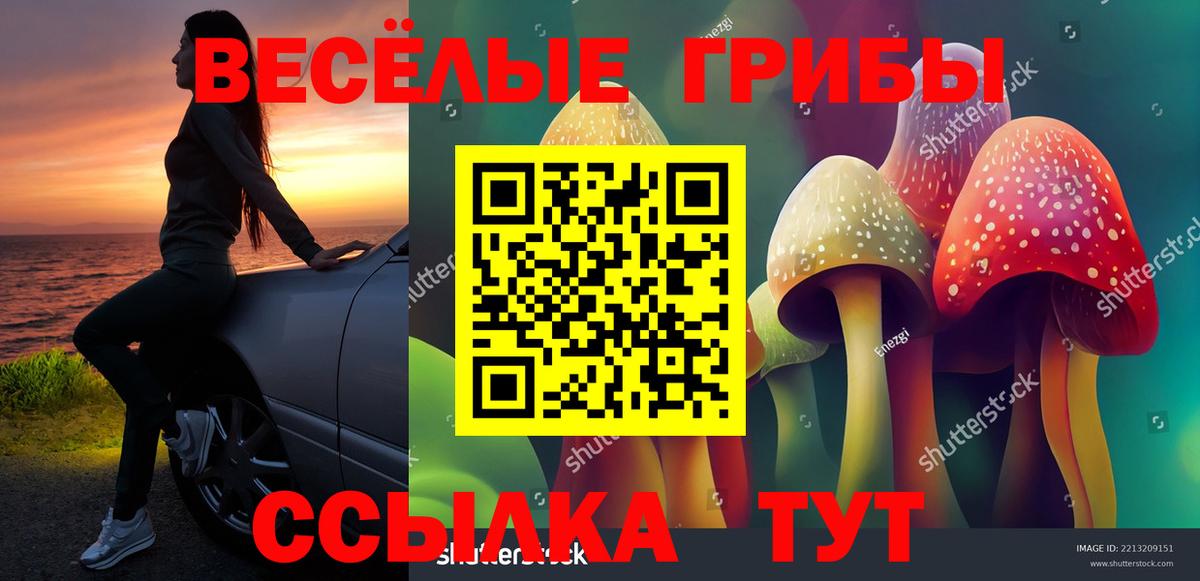 Галлюциногенные грибы Psilocybine cubensis Комсомольск-на-Амуре